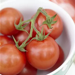 ALTE TOMATENSORTEN FüRS FREILAND!