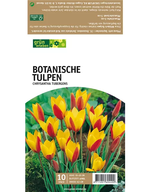 Botan. Wildtulpen